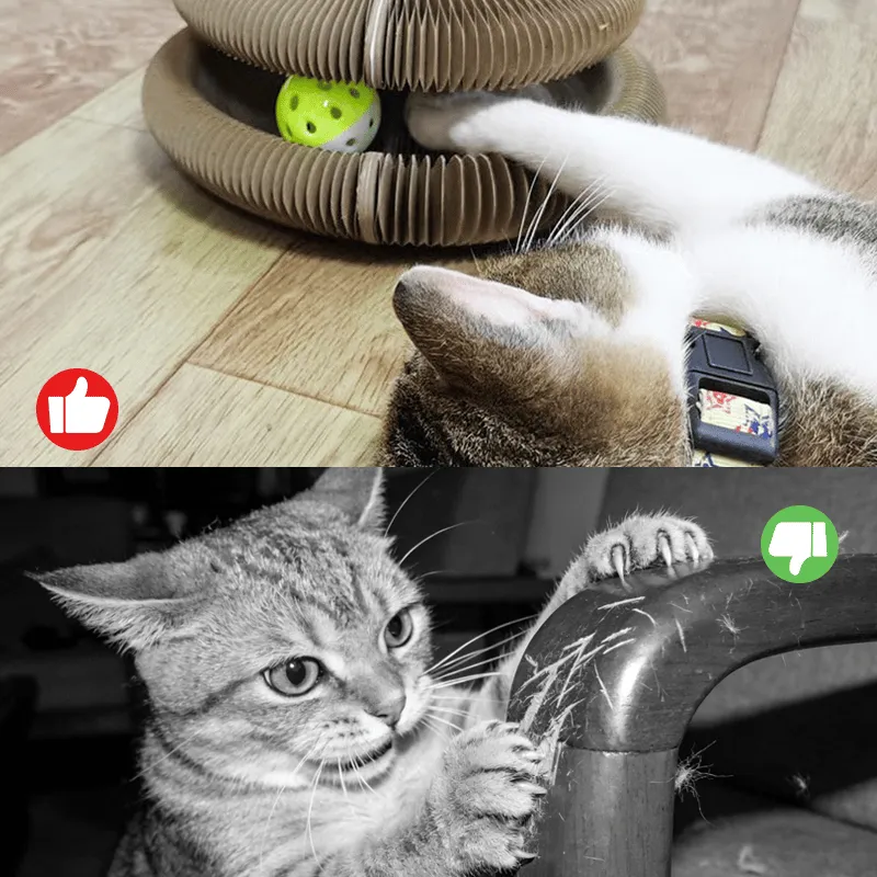 Magic Accordion Cat Scratcher product material and detail