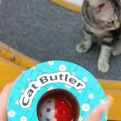 Magic Accordion Cat Scratcher interactive demonstration