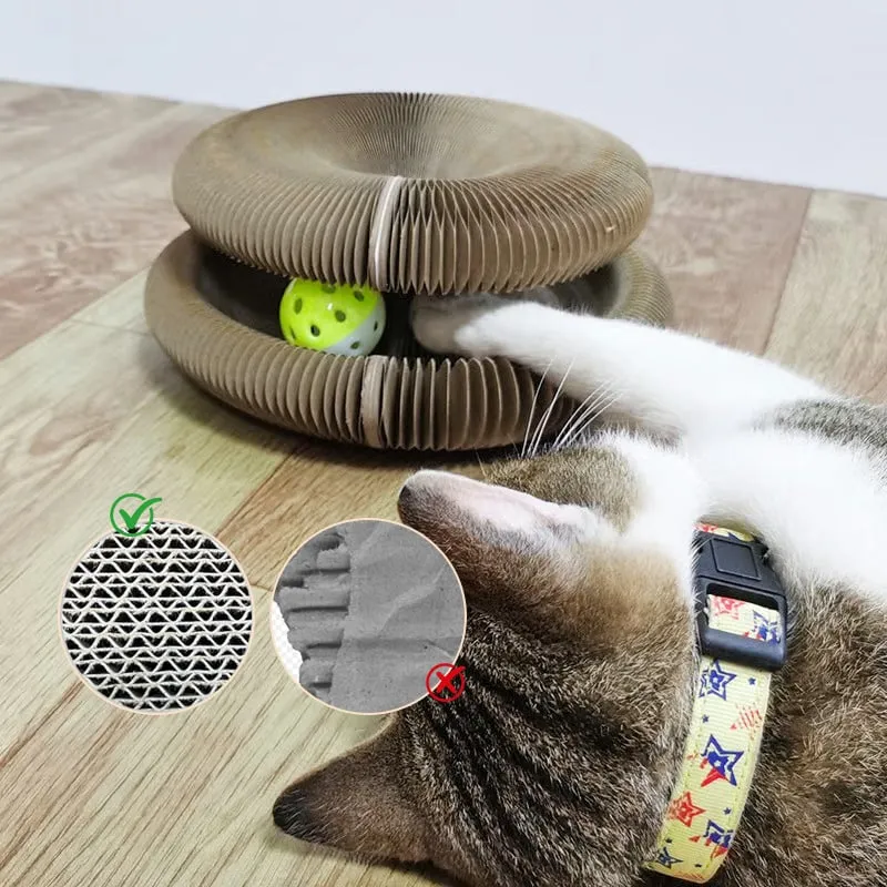 Magic Accordion Cat Scratcher lifestyle image